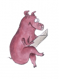 Schwein beim Lesen