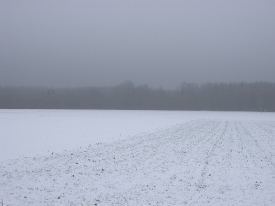 Schneeüberdecktes Feld