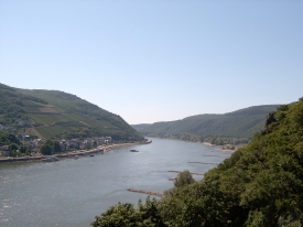 Weinberge & Rhein