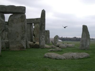Kraehen um Stonehenge