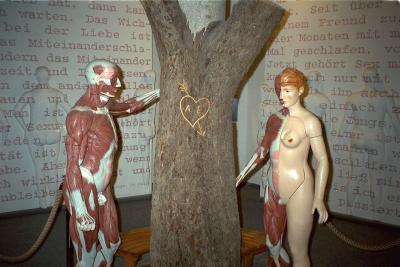 Adam & Eva, ganz ausgezogen