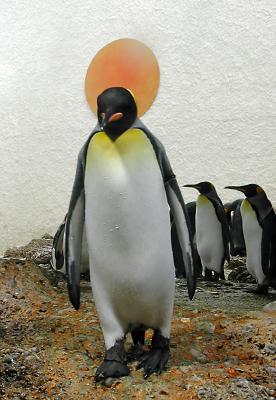 St. Pinguin