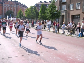 Stockholm Marathon 2004