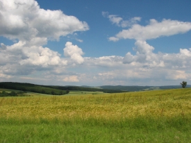 Ein bischen Sommer