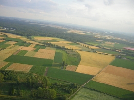 ein Stück Ried