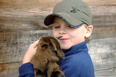 Kleiner Junge mit junger Ziege