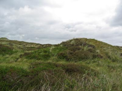 Dünen vor dem Sturm