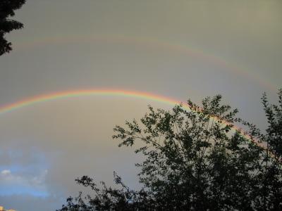 Regenbogen2