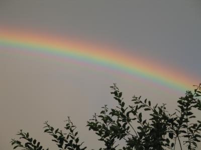 Regenbogen4