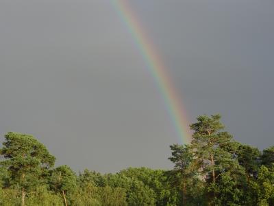 Regenbogen A