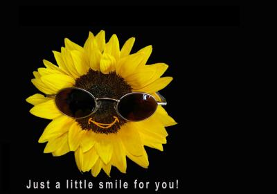 just a little smile 4u 2