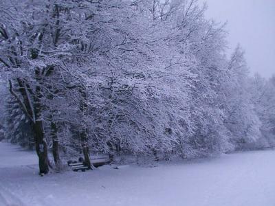 Winter im Odenwald