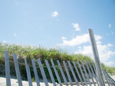 Zaun am Strand 3