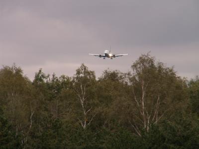 Flugzeug im Anflug auf Frankfurt