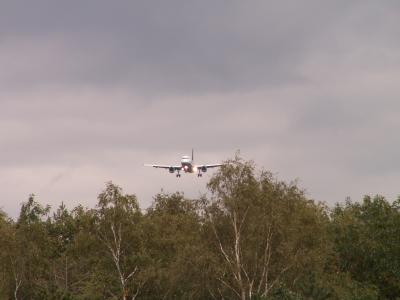Flugzeug im Anflug auf Frankfurt überm Wald