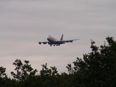 Flugzeug im Anflug auf Frankfurt