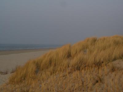 Dünen in der untergehenden Sonne