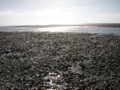 Watt auf Föhr