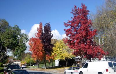 herbst in usa