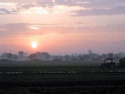 Sonnenaufgang überm Tägermoos