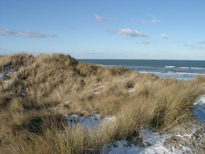 Dünen im Winter