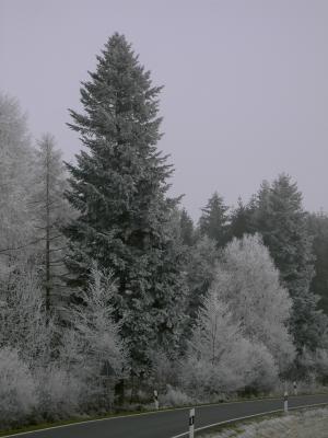 Winter Reif Odenwald