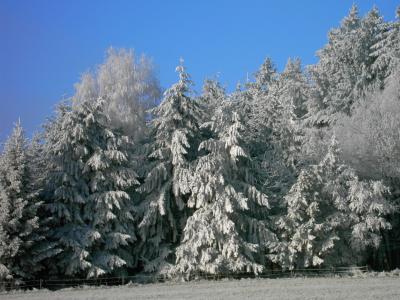 WinterReif im Odenwald