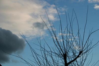 Kleine schwarze Wolke