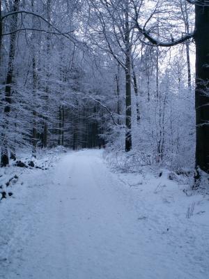 Schnee-WEG