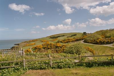 Irish Coast