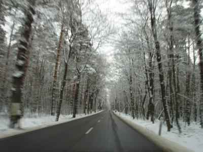 winterliche Autofahrt