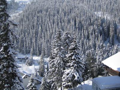 Tal im Wintertraum