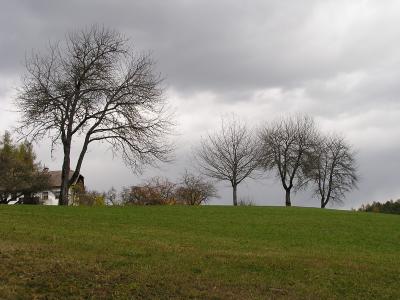 Stürmischer Herbst