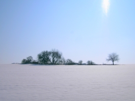 Winter im Odenwald