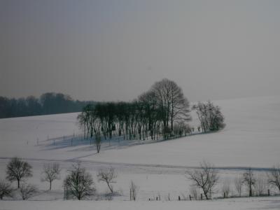 Winter im Odenwald