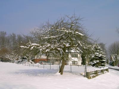 Winter im Odenwald