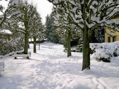 Winter im Odenwald