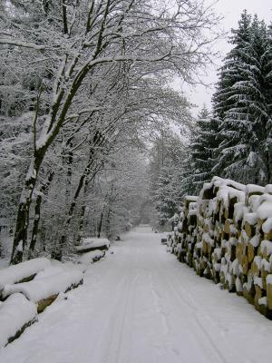 Winter im Odenwald