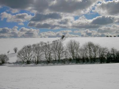 Winter im Odenwald