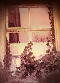 Sproßenfenster