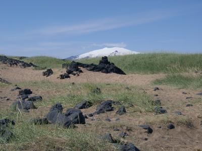 ISLAND LANDSCHAFT