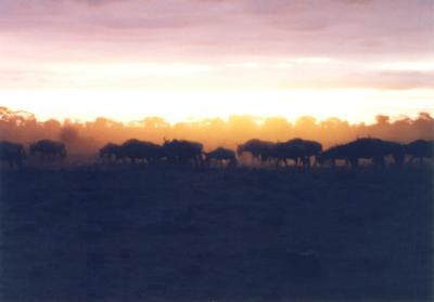 Kenia bei Sonnenuntergang