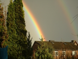 Regenbogen