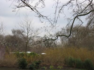 London Eye - Treeview