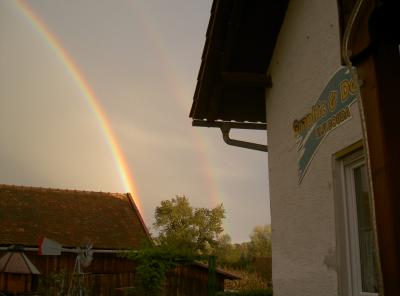 Regenbogen - Paar