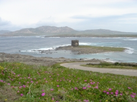 KLEINE INSEL BEI STINTINO