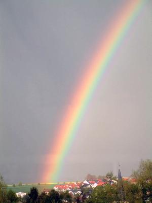 Regenbogen