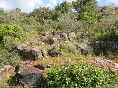 SARDINIEN LANDSCHAFT