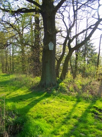 Einladung ins Naturschutzgebiet