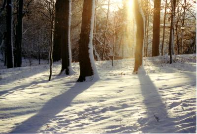 Winter-Schloßpark Altenburg